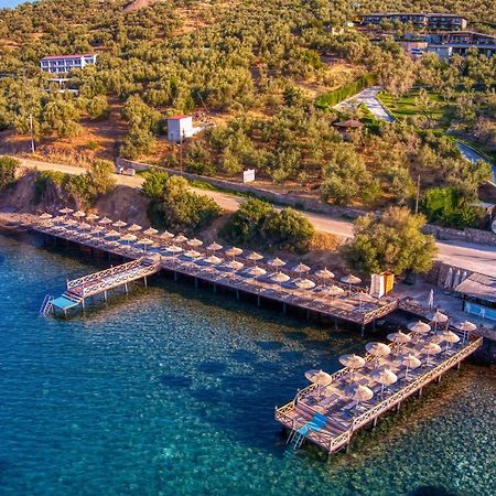 Assos Dionysos Special Class Hotel Adults Only 12 Years Exteriör bild