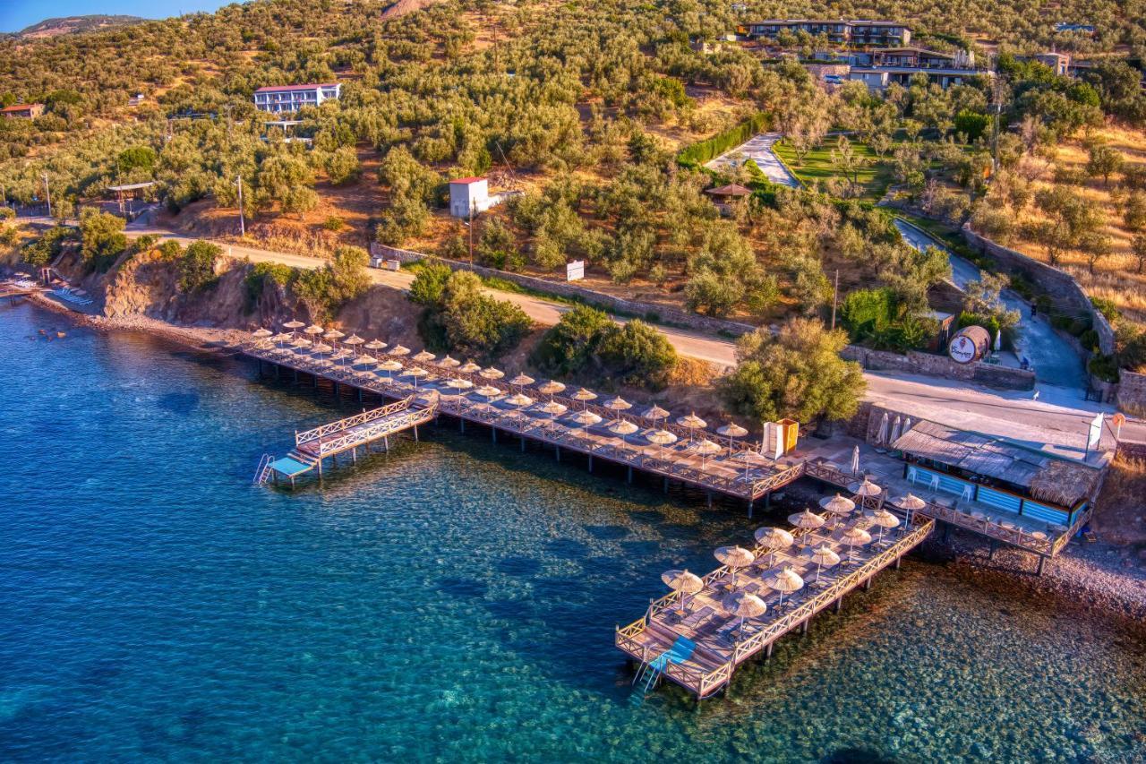 Assos Dionysos Special Class Hotel Adults Only 12 Years Exteriör bild