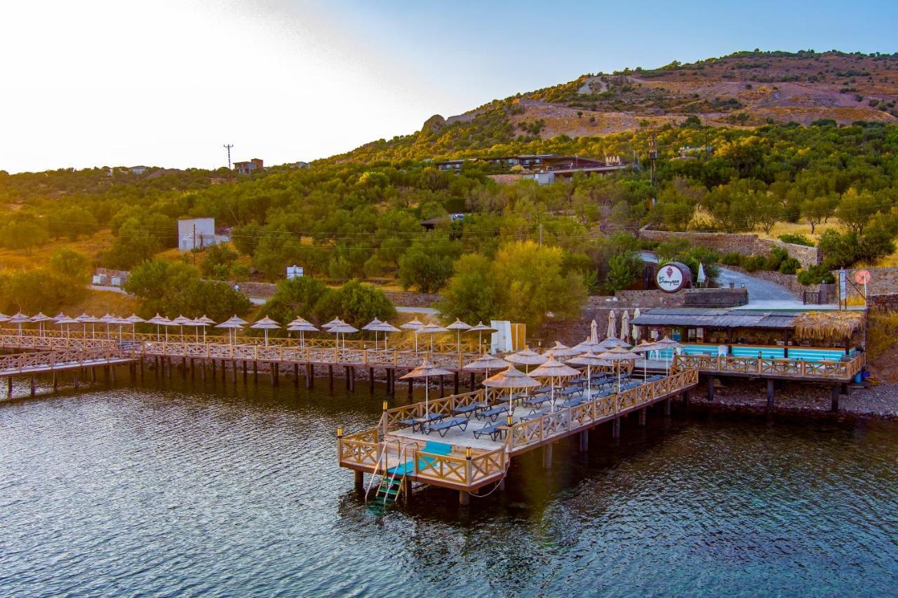 Assos Dionysos Special Class Hotel Adults Only 12 Years Exteriör bild