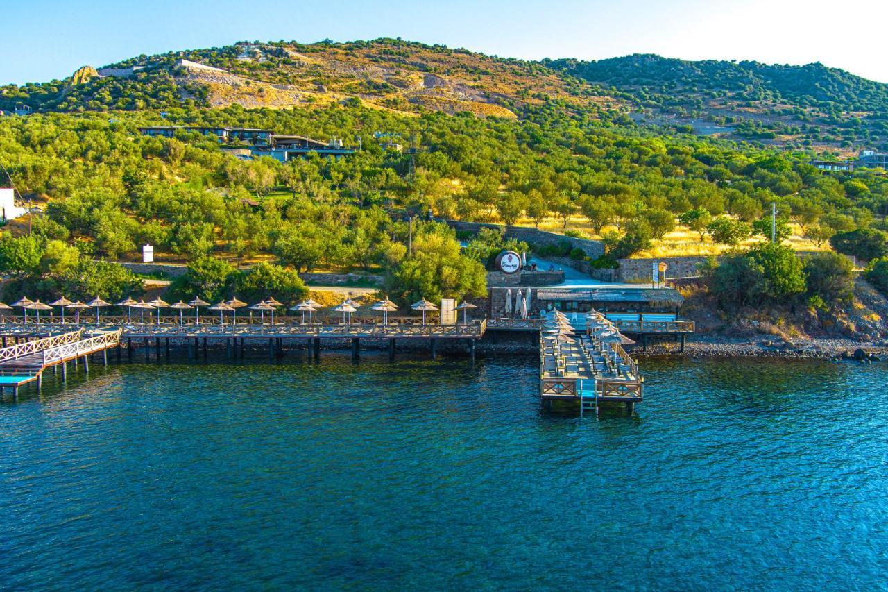 Assos Dionysos Special Class Hotel Adults Only 12 Years Exteriör bild
