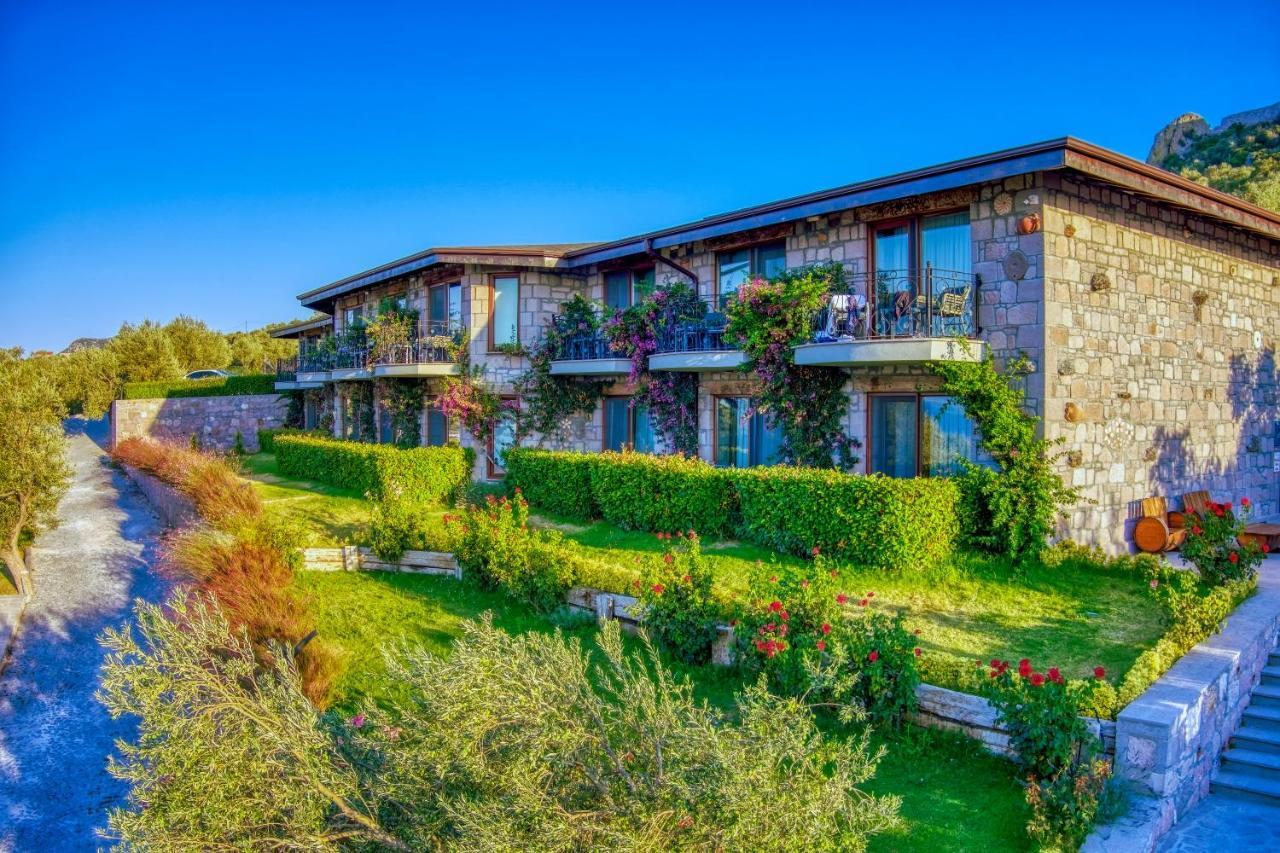 Assos Dionysos Special Class Hotel Adults Only 12 Years Exteriör bild