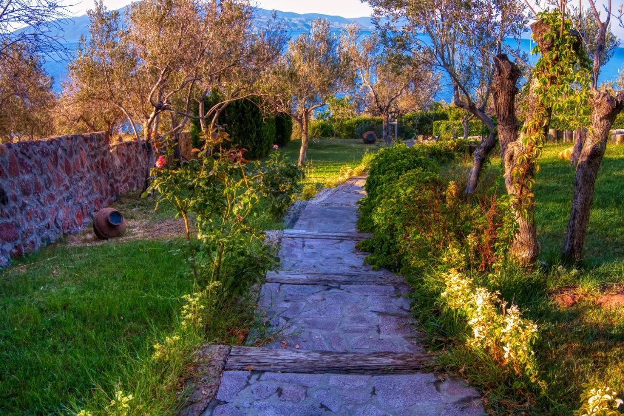 Assos Dionysos Special Class Hotel Adults Only 12 Years Exteriör bild