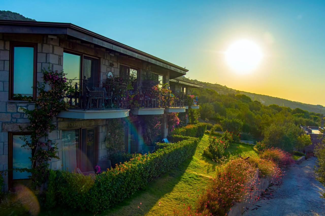 Assos Dionysos Special Class Hotel Adults Only 12 Years Exteriör bild