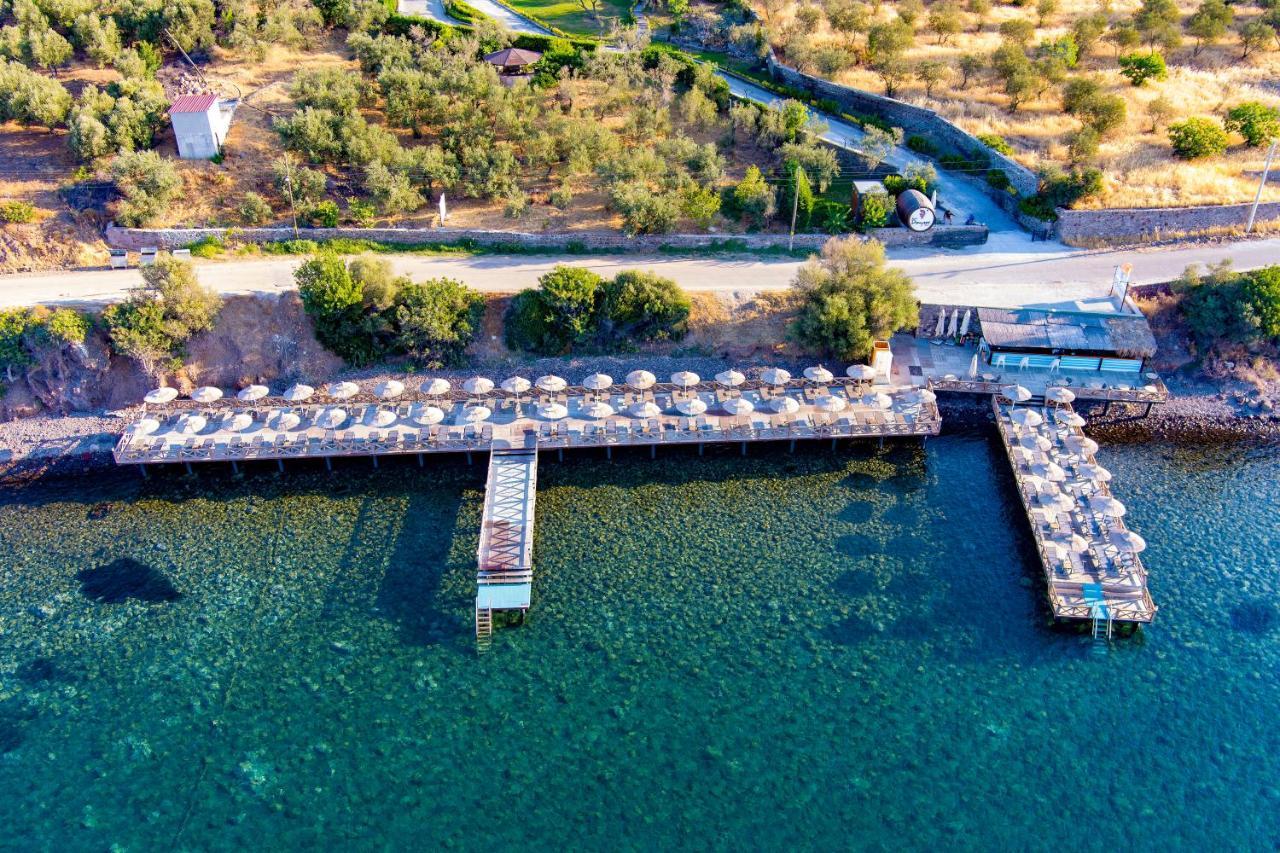 Assos Dionysos Special Class Hotel Adults Only 12 Years Exteriör bild